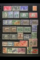 1937-52 KGVI MINT SELECTION Presented On A Stock Page With ALL Omnibus Sets, 1945-46 Constitution Set With Most... - Jamaïque (...-1961)