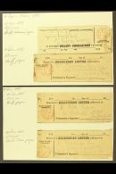 REGISTERED LETTER RECEIPTS 1879-95 A Group Of Receipts For Registered Letters Each With Red Dublin / Registered... - Other & Unclassified