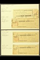 REGISTERED LETTER RECEIPTS 1879-95 A Group Of Receipts For Registered Letters Each With Red Dublin / Registered... - Autres & Non Classés