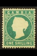 1880-81 1s Deep Green, SG 20B, Mint With Small Part Dull OG & Very Light Horizontal Crease  For More Images,... - Gambie (...-1964)