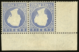 1880 3d Pale Dull Ultramarine, Wmk Upright, Horizontal Mint Top Corner Pair Variety "Wmk Inverted", SG 14cBw, Some... - Gambia (...-1964)