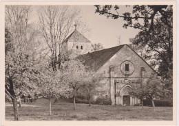 CARTE PHOTO,SUISSE,SWITZERLAND,SVIZZERA,SCHWEIZ,HELVETIA,SWISS,VAUD,NYON,CHESEREX,ABBAYE BONMONT - Chéserex