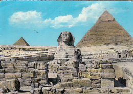 50513- GIZEH- THE GREAT SPHINX, KHEFREN PYRAMID - Sfinge