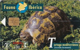 Spain, Card Number 074, As On Photos, Turtle, 2 Scans. - Autres & Non Classés