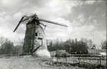 RONSE (O.Vl.) - Molen / Moulin - Spectaculaire Opname Van De Triburymolen Na De Stormramp Van 1990. - Ronse