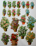 Fin XIXème : LOT 20 Chromos Découpis POTS FLEURIS Fleus Différentes - Fleurs