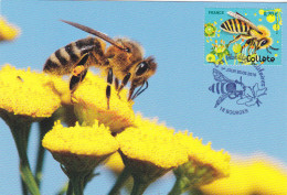 CARTE  MAXIMUM  FRANCE  N° Yvert 5051 (ABEILLE) Obl Sp Ill 1er Jour - 2010-2019