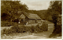 SHROPSHIRE - WELLINGTON - THE WREKIN -  FOREST GLEN  RP  Sh300 - Shropshire