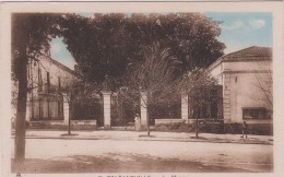 Algérie :  ORLEANSVILLE  :  La  Mairie - Chlef (Orléansville)