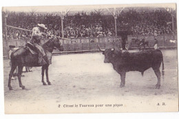 Course De Taureaux - Citant Le Taureau Pour Une Pique - Corridas