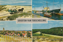 50638- TERSCHELLING ISLAND- BEACH, HARBOUR, VILLAGE, FOREST, HORSE CARRIAGE, SHIPS - Terschelling