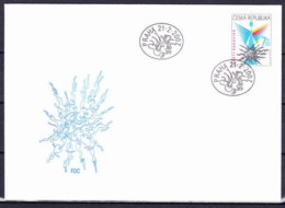 Tchéque République 2007 Mi 504, Envelope Premier Jour (FDC) - FDC