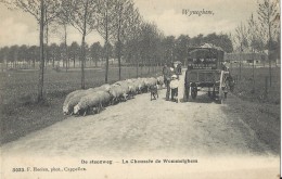 Wyneghem,   De Steenweg;   -  Herder  -  Naar  Etterbeek - Wijnegem