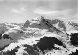 74-MORZINE- SPORTS D'HIVER- POINTE DE NION - Morzine