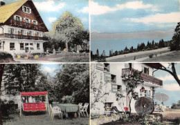 74-SAINT-PAUL- LES PRES FLEURIS SUR EVIAN - HÔTEL RESTAURANT MULTIVUE - Evian-les-Bains