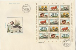 #T245  DUCK, ANIMALS, BIRDS, BUTTERFLY, COVER FDC, 1983, ROMANIA. - FDC