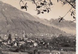 50949- LOSONE, PANORAMA, MOUNTAINS - Losone