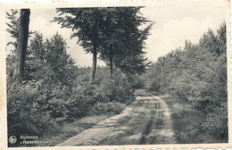 Rijmenam Harentstraat - Bonheiden