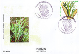 MAYOTTE - FDC Du 15.05.2010 - EPIPHYTES DU BENARA - Storia Postale