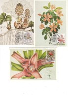 Carte Max Floralies 1749-1751 - 1971-1980