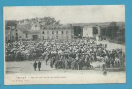 CPA Métier Maquignons Marché Aux Boeufs CHOLET 49 - Cholet