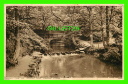 NEWCASTLE-ON-TYNE, UK - JESMOND DENE STEPPING STONES - TRAVEL IN 1938 - PHOTOCHROM CO LTD - - Newcastle-upon-Tyne