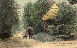 89 SEIGNELAY  La Hutte Gauloise Vue Prise Du Parc Carte  Couleur Animée - Seignelay