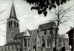 Brecht   St Michielskerk - Brecht