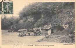 CPA 95  LOUVRES ENTREE D UNE CHAMPIGNONNIERE - Louvres