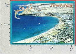 CARTOLINA VG EGITTO - SHARM EL SHEICH - Panorama - Spiaggia - 11 X 16 - ANN. 19?? - Sharm El Sheikh