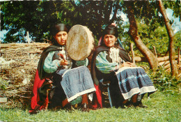 Traditional Costumes, Machi Tocando El Cultrun, Chile Postcard Unposted - Chile