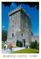 Blarney Castle, Cork, Ireland Postcard Unposted - Cork