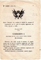 1878 DECRETO - REGOLAMENTO PER LE CASE DI CUSTODIA - Décrets & Lois