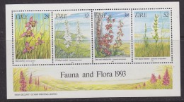 Ireland 1993 Fauna & Flora  M/s ** Mnh (32939) - Hojas Y Bloques