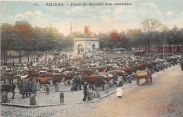 80-AMIENS- PLACE DU MARCHE AUX CHEVAUX - Amiens