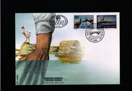 Yugoslavia 2001 Danube Commission FDC - Storia Postale