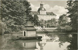 Zeitz - Blick Vom Kulturpark Zur Moritzburg - Foto-AK 60er Jahre - Verlag VEB Bild Und Heimat Reichenbach - Zeitz