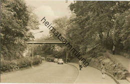 Zeitz - Wendischer Berg - Foto-AK 60er Jahre - Verlag VEB Bild Und Heimat Reichenbach - Zeitz