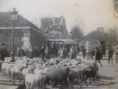 CPA 93 Seine Saint Denis Pantin Un Troupeau De Moutons à L'octroi - Pantin