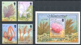 159 MONTSERRAT 1995 - Yvert 840/43 BF 65 - Fleur Marine - Neuf ** (MNH) Sans Trace De Charniere - Montserrat