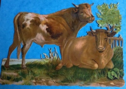 Beau Decoupis Grand Format Vache Vaches Au Pré 24cm X 16 Cm - Animali
