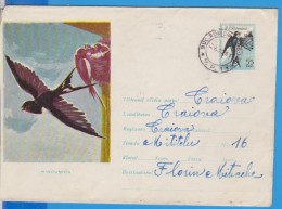 BIRD SWALLOW ROMANIA  GANZSACHE STATIONERY ENTIER 1961 - Zwaluwen