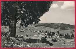 Foto-AK ´Bernau Im Südl. Hochschwarzwald' ~ 1959 - Hochschwarzwald