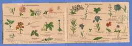 BLUMENSPRACHE Doppelkarte Vor 1900 - Flowers