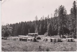 Suisse : Camping  Piscine La  Fôret  SORENS - Sorens