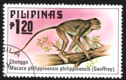 Delcampe - Chonggo Macaca Philippinensis Used Stamp - Singes