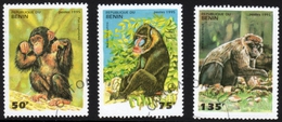 Delcampe - Apes Used Stamps - Singes