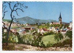 St HONORE LES BAINS--Panorama-Vue Générale ,cpsm 15 X 10 N° 2  éd  La Cigogne - Saint-Honoré-les-Bains