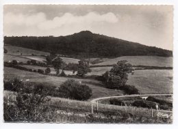 St HONORE LES BAINS--1956-Chemin Du Désert-La Vieille Montagne- ,cpsm 15 X 10 N° 56  éd  La Combier - Saint-Honoré-les-Bains