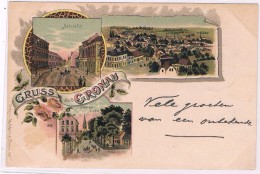 D6641     GRONAU : Gruss ( Litho) - Gronau